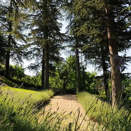 La Casa In For 9 Park In The Hill *