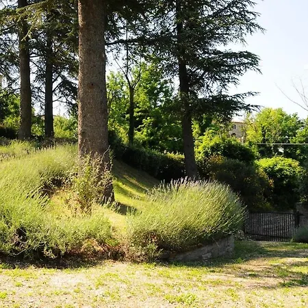 Βίλα La Casa In For 9 Park In The Hill Collamato